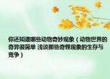 你还知道哪些动物奇妙现象（动物世界的奇异很简单 浅谈那些奇怪现象的生存与竞争）