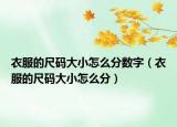 衣服的尺码大小怎么分数字（衣服的尺码大小怎么分）
