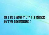 园丁的丁是哪个丁?（丁香园里的丁当 如何获取呢）