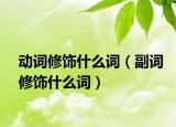 动词修饰什么词（副词修饰什么词）