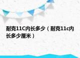 耐克11C内长多少（耐克11c内长多少厘米）