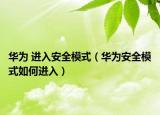 华为 进入安全模式（华为安全模式如何进入）