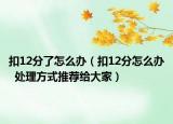扣12分了怎么办（扣12分怎么办  处理方式推荐给大家）
