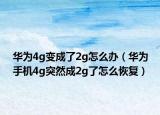 华为4g变成了2g怎么办（华为手机4g突然成2g了怎么恢复）