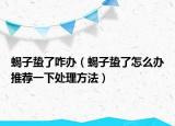 蝎子蛰了咋办（蝎子蛰了怎么办推荐一下处理方法）