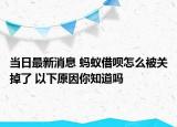 当日最新消息 蚂蚁借呗怎么被关掉了 以下原因你知道吗