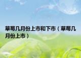 草莓几月份上市和下市（草莓几月份上市）