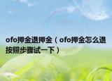 ofo押金退押金（ofo押金怎么退按照步骤试一下）