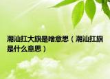 潮汕扛大旗是啥意思（潮汕扛旗是什么意思）