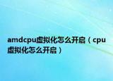 amdcpu虚拟化怎么开启（cpu虚拟化怎么开启）