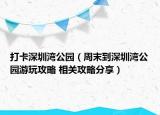 打卡深圳湾公园（周末到深圳湾公园游玩攻略 相关攻略分享）
