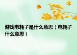 游戏电耗子是什么意思（电耗子什么意思）