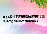 csgo怎样把国际服改成国服（如何将csgo国服改为国际服）