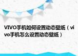 VIVO手机如何设置动态壁纸（vivo手机怎么设置动态壁纸）