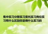 集中实习分散实习委托实习岗位实习有什么区别你是做什么实习的