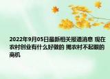 2022年9月05日最新相关报道消息 现在农村创业有什么好做的 揭农村不起眼的商机