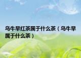 乌牛早红茶属于什么茶（乌牛早属于什么茶）
