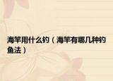 海竿用什么钓（海竿有哪几种钓鱼法）