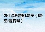 为什么R是右L是左（l是左r是右吗）