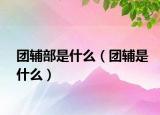 团辅部是什么（团辅是什么）