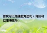 骨灰可以随便撒海里吗（骨灰可以撒海里吗）