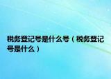 税务登记号是什么号（税务登记号是什么）