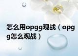 怎么用opgg观战（opgg怎么观战）