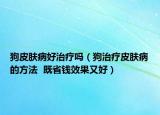 狗皮肤病好治疗吗（狗治疗皮肤病的方法  既省钱效果又好）