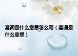 套词是什么意思怎么写（套词是什么意思）