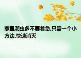 家里潮虫多不要着急,只需一个小方法,快速消灭