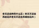 冬天适合种养什么花（冬天不适合养的花卉冬天不适合养哪些花卉）
