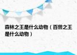 森林之王是什么动物（百兽之王是什么动物）