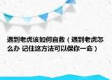 遇到老虎该如何自救（遇到老虎怎么办 记住这方法可以保你一命）