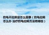 豹龟不拉屎是怎么回事（豹龟拉稀怎么办 治疗豹龟拉稀方法有哪些）