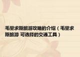 毛里求斯旅游攻略的介绍（毛里求斯旅游 可选择的交通工具）
