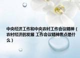 中央经济工作和中央农村工作会议精神（农村经济的发展 工作会议精神焦点是什么）