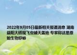 2022年9月05日最新相关报道消息 湖南益阳大桥现飞虫铺天盖地 专家称这是原始生物蜉蝣