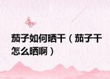 茄子如何晒干（茄子干怎么晒啊）