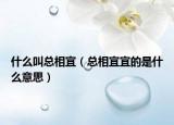 什么叫总相宜（总相宜宜的是什么意思）