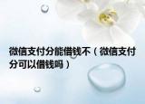 微信支付分能借钱不（微信支付分可以借钱吗）