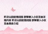 黔灵山因疫情闭园 群猴窜入小区觅食详细内容 黔灵山因疫情闭园 群猴窜入小区觅食具体介绍
