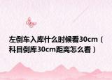 左倒车入库什么时候看30cm（科目倒库30cm距离怎么看）