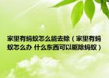 家里有蚂蚁怎么能去除（家里有蚂蚁怎么办 什么东西可以驱除蚂蚁）