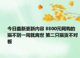 今日最新更新内容 8800元网购的猫不到一周就离世 第二只猫货不对板
