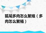 狐尾多肉怎么繁殖（多肉怎么繁殖）