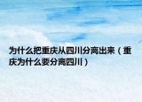 为什么把重庆从四川分离出来（重庆为什么要分离四川）