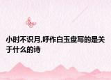 小时不识月,呼作白玉盘写的是关于什么的诗