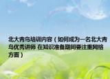 北大青鸟培训内容（如何成为一名北大青鸟优秀讲师 在知识准备期间要注重网络方面）