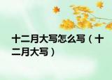 十二月大写怎么写（十二月大写）