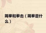 踢拳和拳击（踢拳是什么）